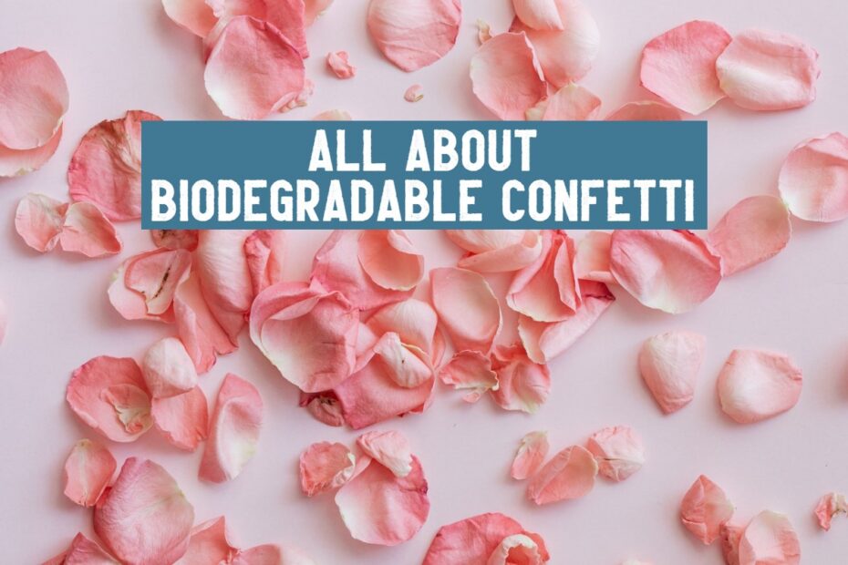 natural biodegradable confetti